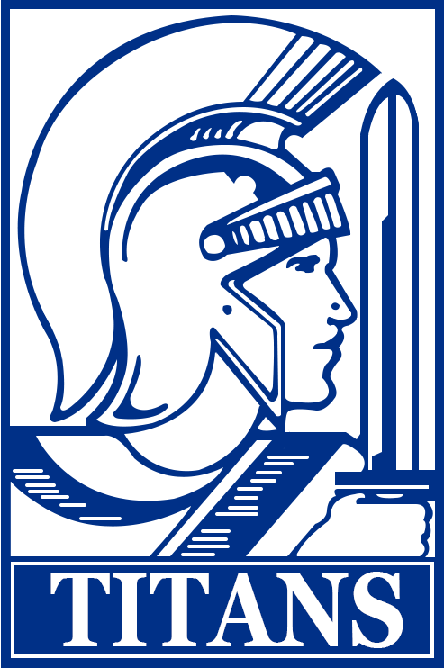 Detroit Mercy Titans 1989-1993 Secondary Logo diy iron on heat transfer
